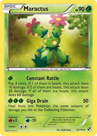 Maractus (12) 12/114